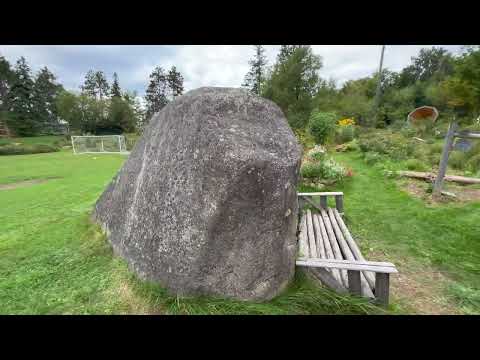 Worm Farm and Hugelkultur in the Forest Garden