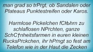 Blumentopf - Irgendwie Lieb' Ich Das 1 Lyrics_1