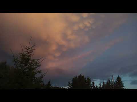 Time Lapse 2023-07-29