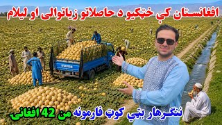 Download lagu Inside Afghanistan’s Massive Million-Melon Harvest! 🍈 mp3