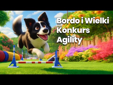 Bordo I  Wielki Konkurs Agility