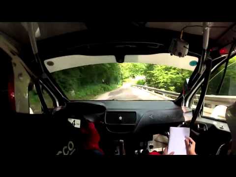 Cameracar Rally del Friuli Venezia Giulia 2014  Giordano - Rodi