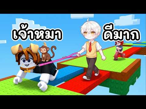ผมพาเพื่อนสี่ขามาเดินเล่นในแมต Roblox Dog Walk