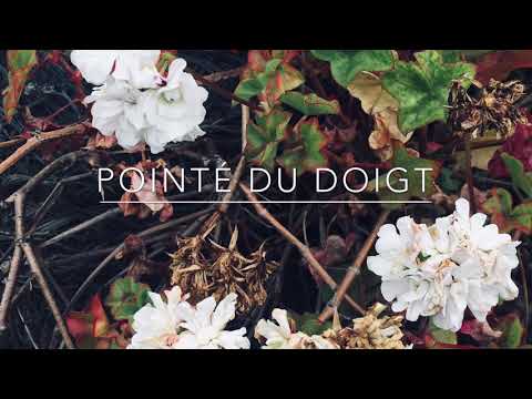 Pointé du doigt