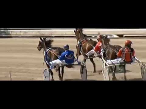 Großer Preis der Fernwärme Niederrhein 2013_Iniesta_Gerhard Biendl