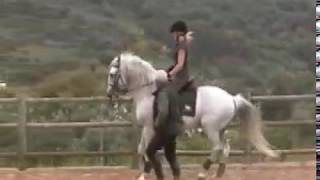 preview picture of video 'Horseback lessons on Lusitano Horses at Alcainca in Portugal with Hidden Trails'
