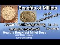 Jowar - മണി ചോളത്തിന്റെ അത്ഭുത ഗുണങ്ങൾ / Health Benefits of Millet