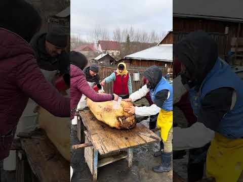 In Romania, in Bucovina, this is how the pig is prepared.