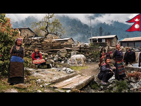 Life in the Highest Mountain Villages of Nepal | Manaslu Region Documentary