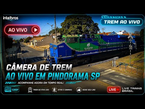 TRENS AO VIVO PINDORAMA SP BRASIL