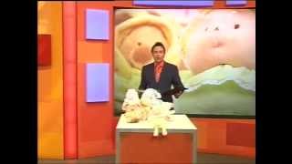 Andy Hodgson sells Ty Beanie Babies on Bid TV