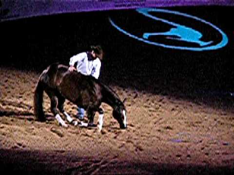 Clinton Andersons Openning Preformance