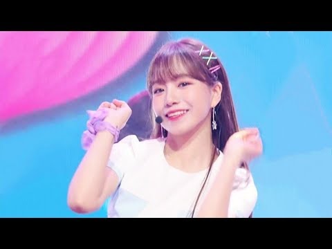 아이콘