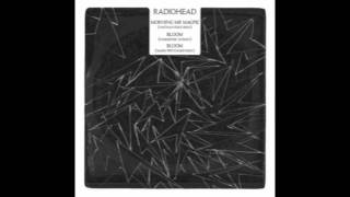 Radiohead - Bloom (Harmonic 313 RMX) [HQ Vinyl Rip]