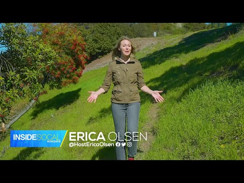 Inside SoCal: Into the Wild (2/26)