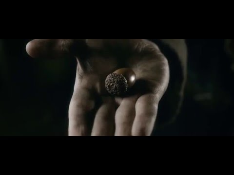 Bilbo and Thorin  the Acorn Scene