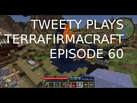 Tweety plays Terrafirmacraft ep 60 - Landscaping with Tweety