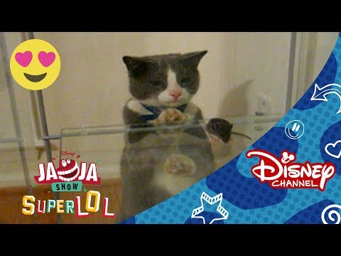 JaJa Show: Muy Gatos | Disney Channel Oficial