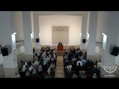 2022-05-22 Domenica Sera - Fr. Gemelli - Deuteronomio Cap 8 vers 3