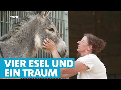Esel machen glücklich ♥