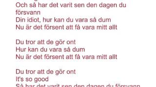Din Idiot Music Video