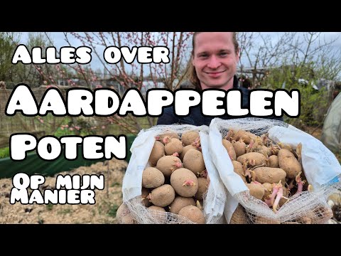 Aardappelen Poten Zónder Graven of Spitten!