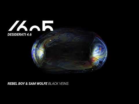 Rebel Boy, Sam WOLFE - Black Veins (Original Mix) [1605-264]