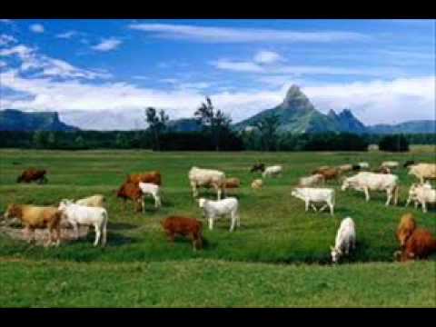 Mario Justin - Soleil 6zer