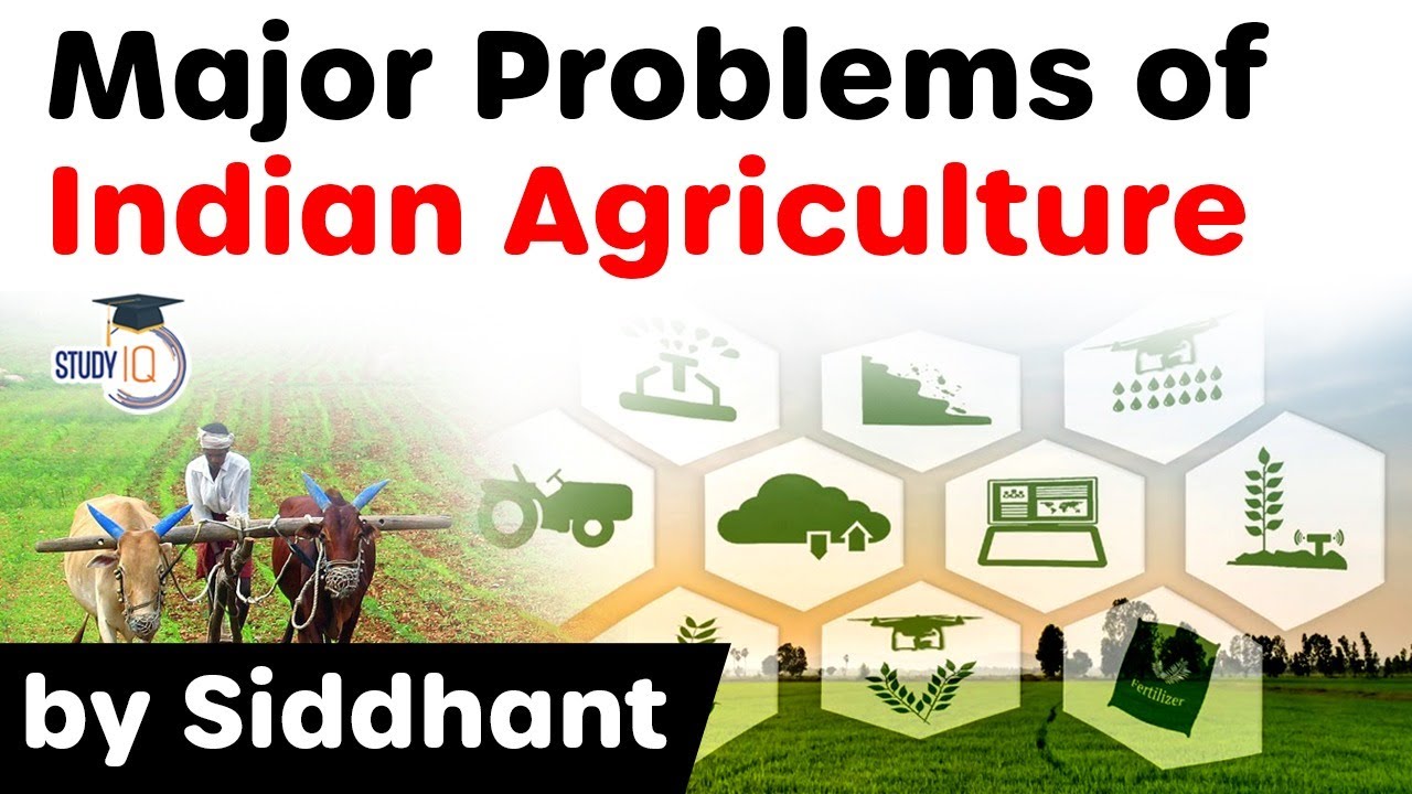 Video presentation on Indian agricultural issues and economic policy