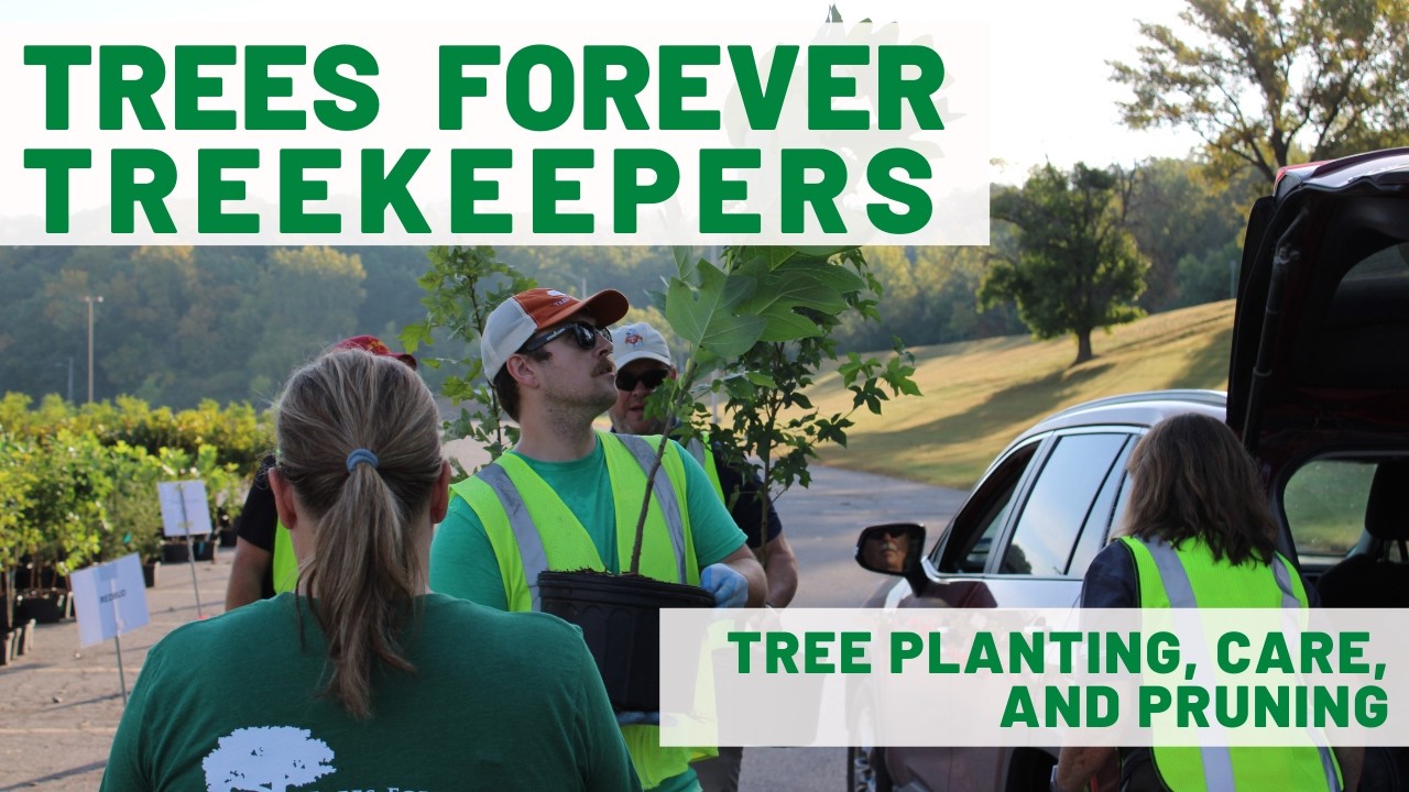 Trees Forever TreeKeepers Spring 2026: Tree Planting, Care, and Pruning