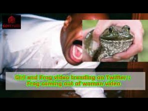 frog video | twitter frog video | the frog video | frog video on twitter | the frog video twitter