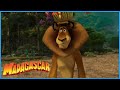 DreamWorks Madagascar Alex S Apology To Marty Madagascar Escape 2 Africa Movie Clip