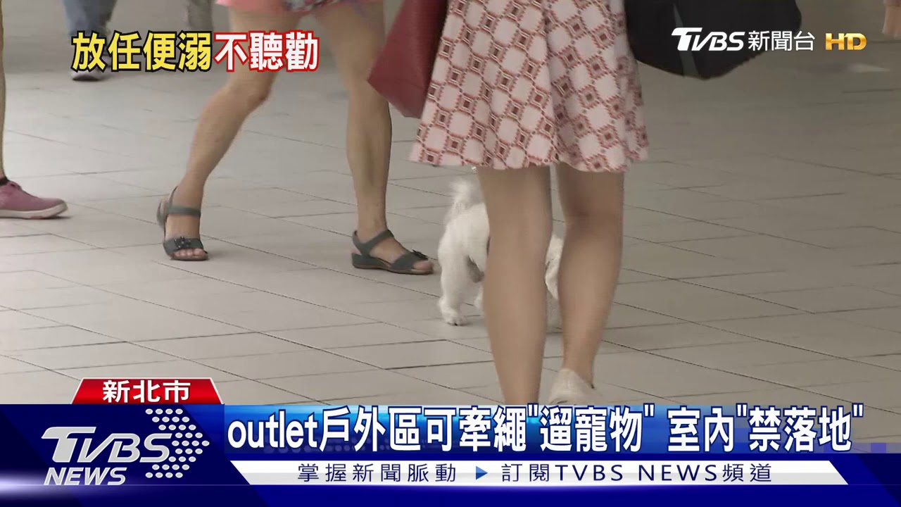 女逛outlet牽狗「到處尿」　規勸反嗆：不可能清