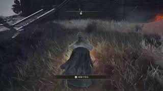 ELDEN RING