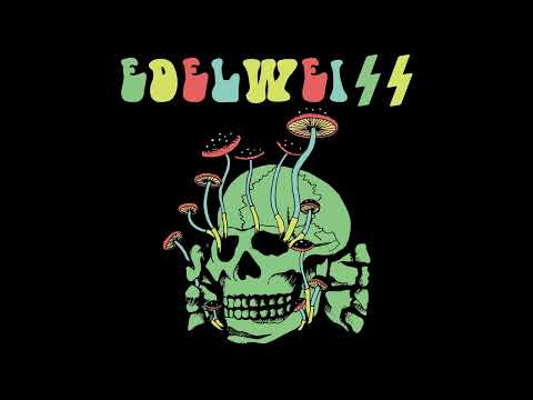 Edelweiss - The flower that will never bloom