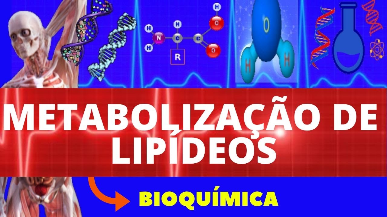 METABOLISMO DE LIPÍDEOS (ENSINO SUPERIOR) - BIOQUÍMICA - METABOLIZAÇÃO DOS LIPÍDEOS