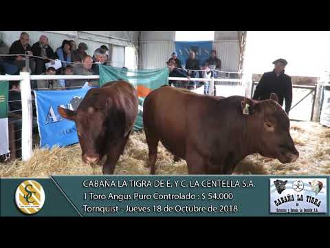 18-10-18 Venta de Toros Angus P.C. - Cabaña La Tigra de Est. y Cab. La Centella  S.A. - Tornquist