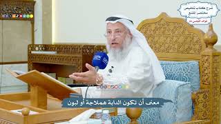 3139 - معنى أن تكون الدابة هملاجة أو لبون - عثمان الخميس