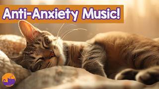 Gentle Relaxing Music for Cats 🐱 Peaceful Sounds for Your Anxious Cat ❤️🩹