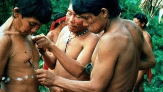 AMAZONIA: LAST CALL