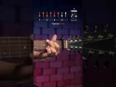 Feliz Agora - Tingo