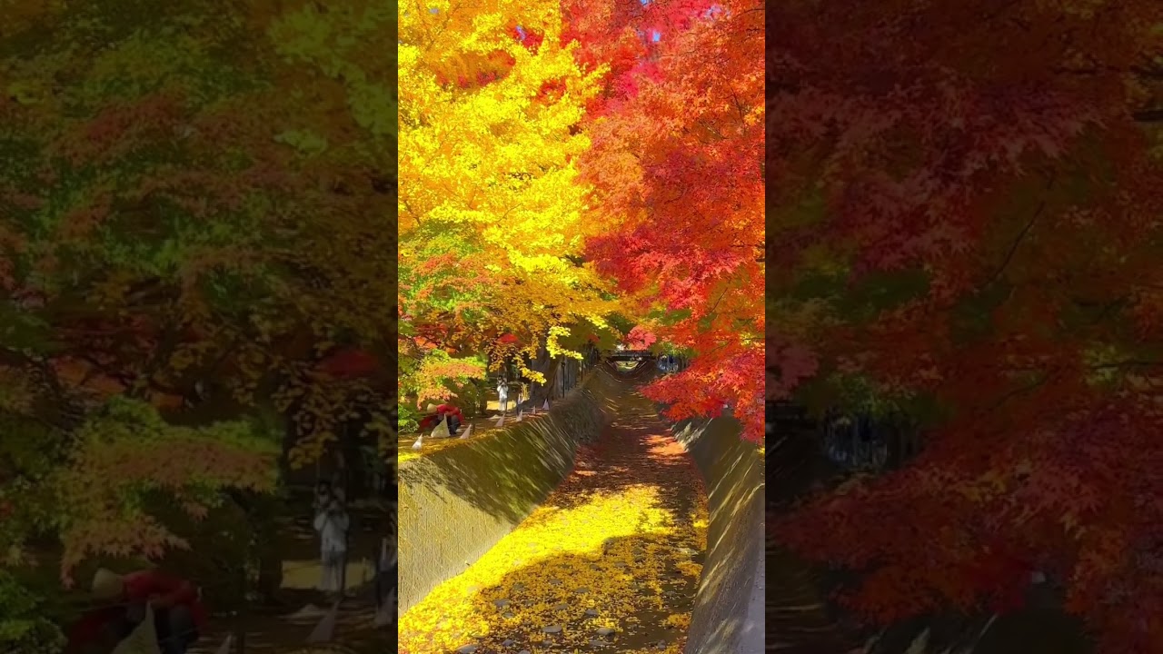 YouTube Short thumbnail