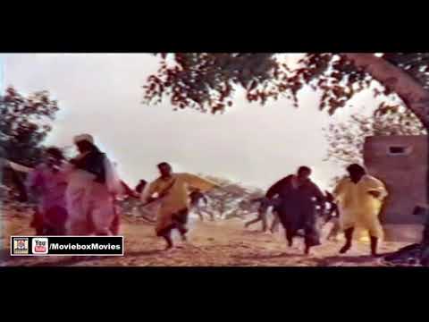 Shera malang jerha kar zimko tv