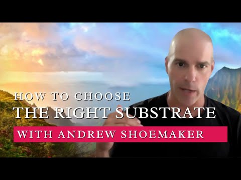 How to Choose Your Substrate for Fine Art Printing