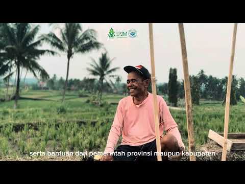 Profil Desa Kener, Kec. Kaliwungu, Kab. Semarang