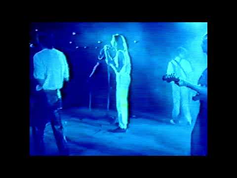 Estrela Cadente - Mel da Terra