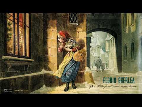 Florin Gherlea - Fie timpul rau sau bun (cover 2019)