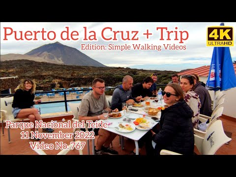 TENERIFE 🏝️ Puerto de la Cruz + El Teide 11 November 2022 Teneriffa Kanarische Inseln Canarias
