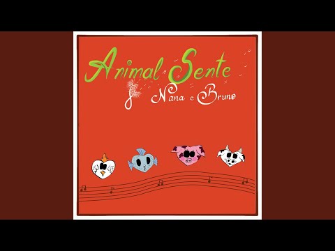 Animal Sente video
