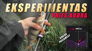 Kaip žuvų kibimą įtakoja slėgis krentantis prieš audrą? Eksperimentas su ešerių kibimu